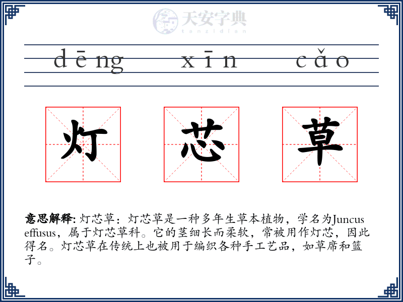 灯芯草