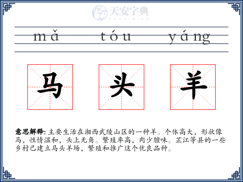 马头羊