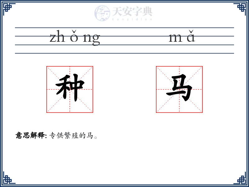 种马