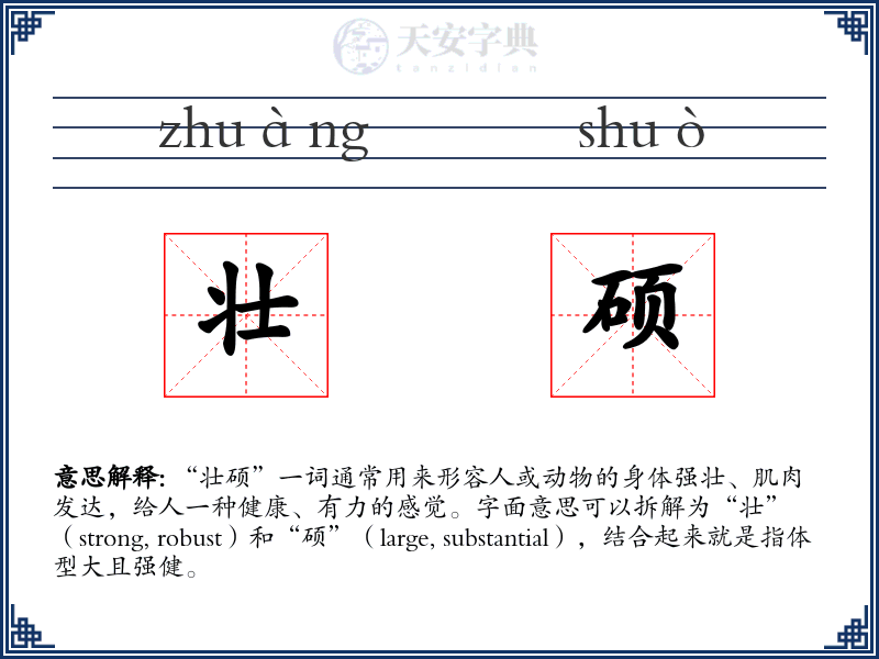 壮硕