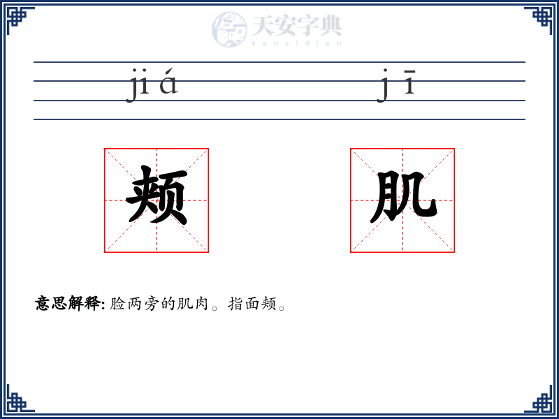 颊肌