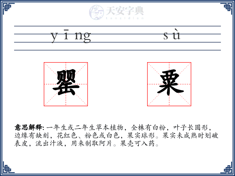 罂粟