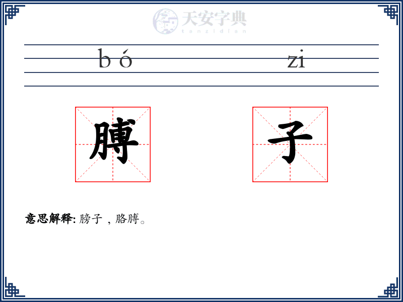 膊子