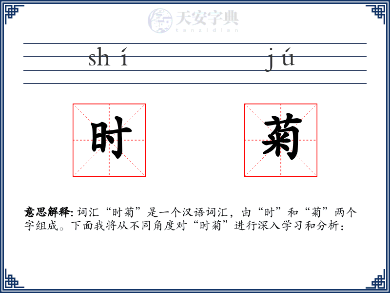 时菊