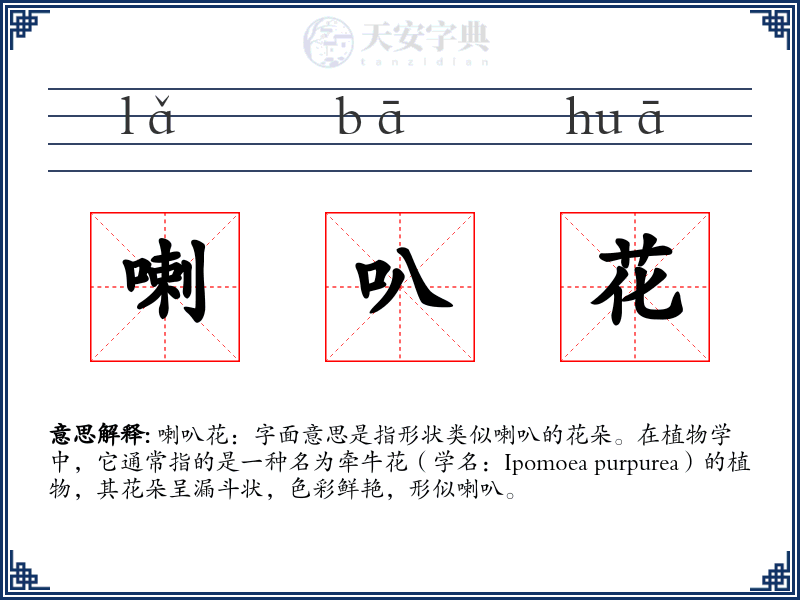喇叭花
