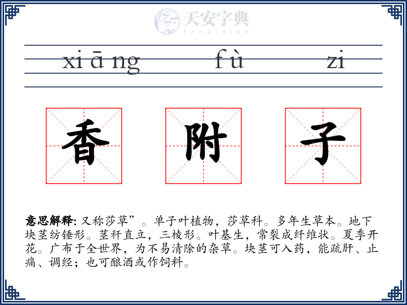 香附子