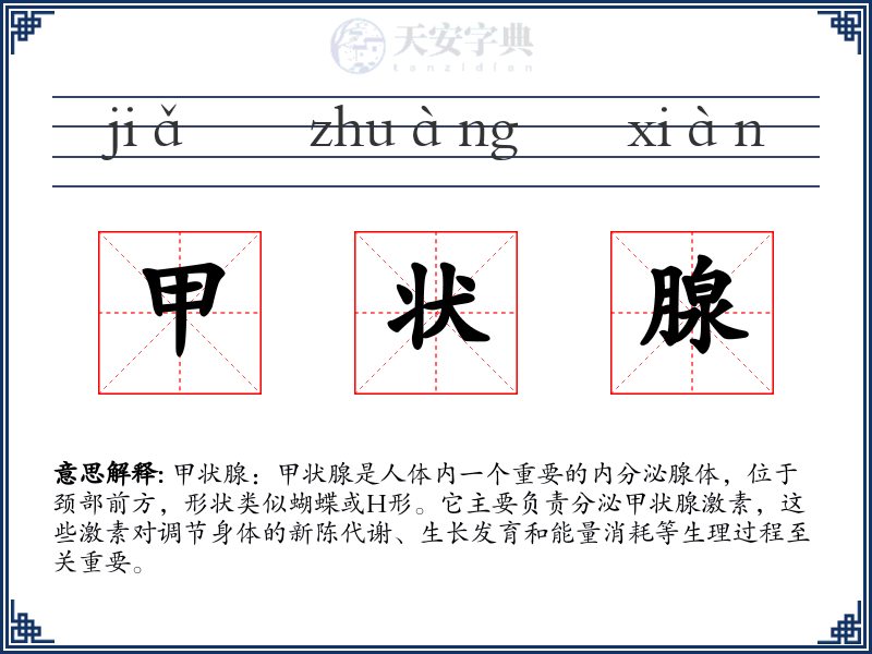 甲状腺
