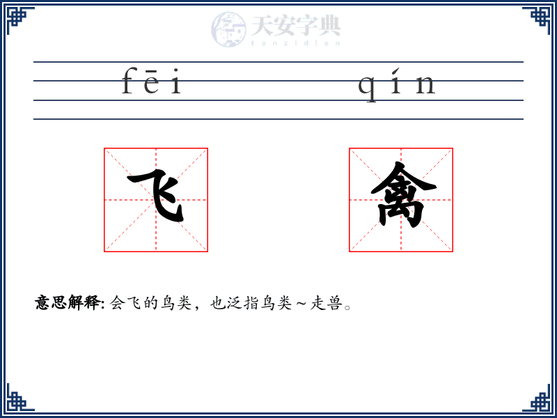 飞禽