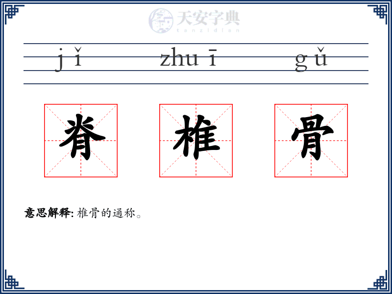 脊椎骨