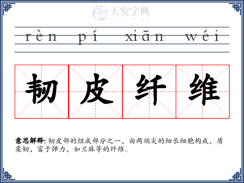 韧皮纤维