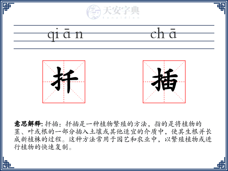 扦插