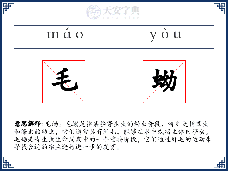 毛蚴