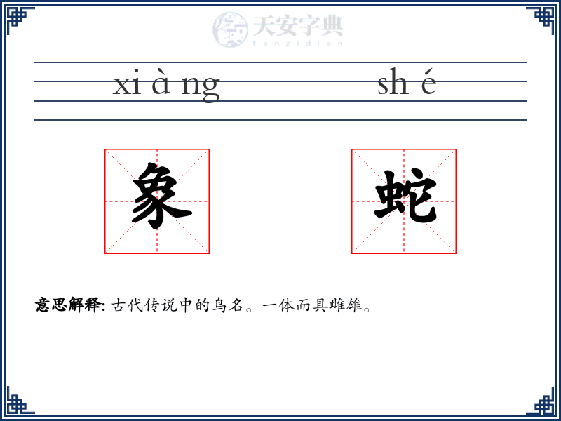 象蛇