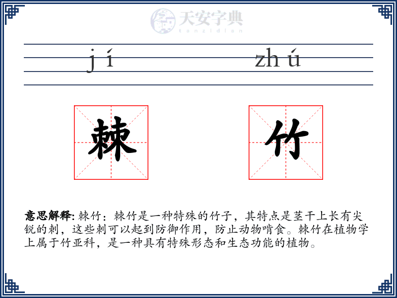 棘竹