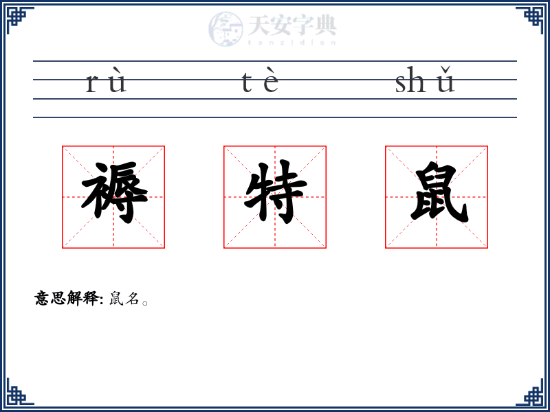 褥特鼠