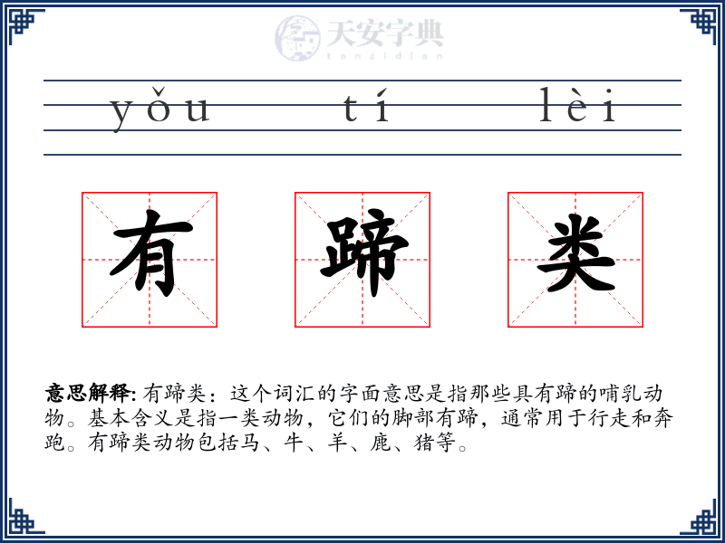 有蹄类