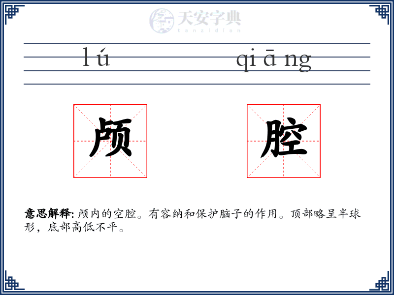 颅腔