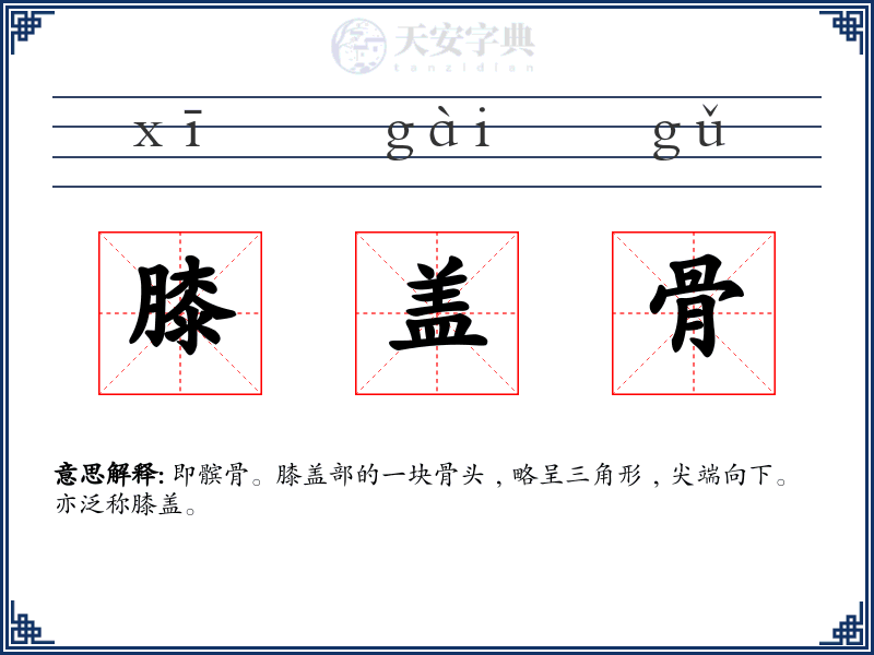 膝盖骨