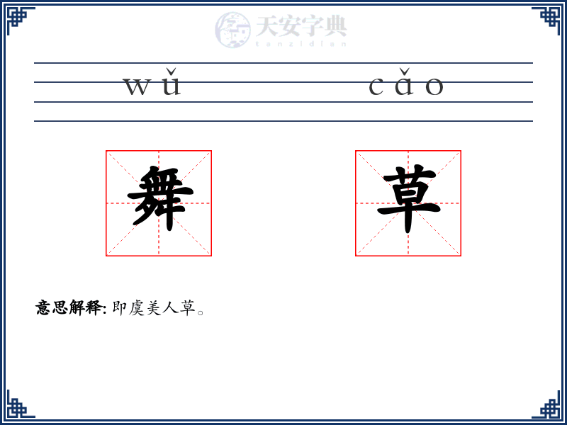 舞草