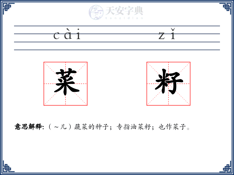 菜籽