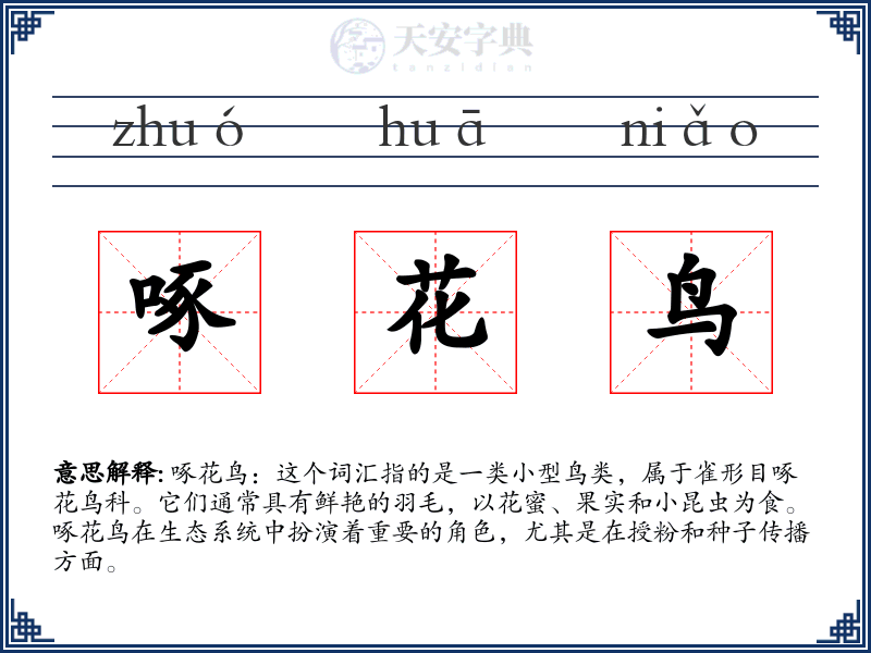 啄花鸟