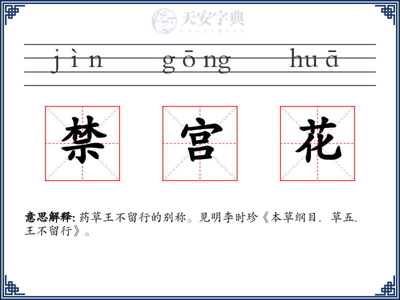禁宫花