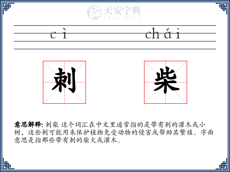 刺柴