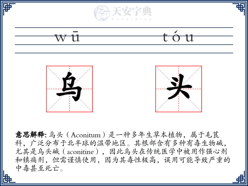 乌头