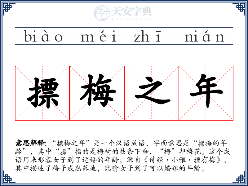 摽梅之年