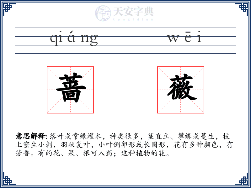 蔷薇