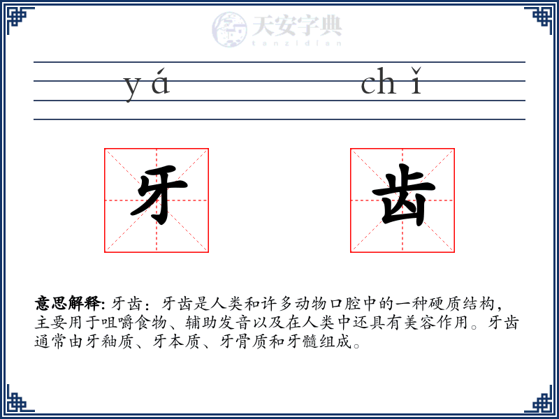 牙齿