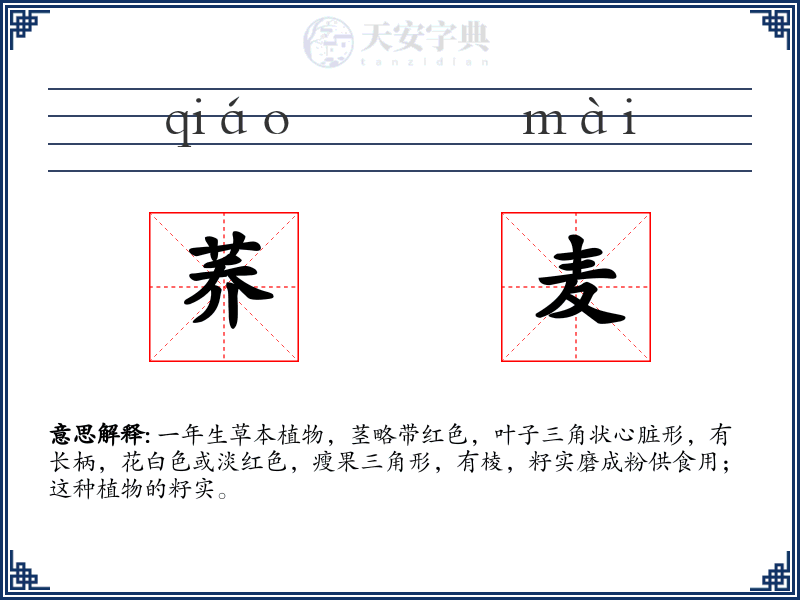 荞麦