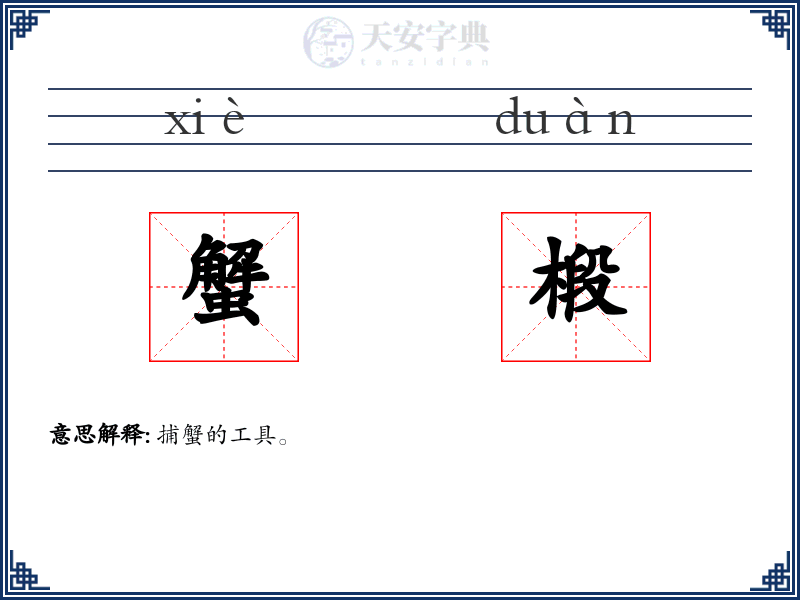 蟹椴