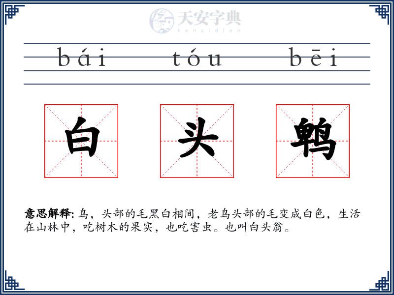 白头鹎