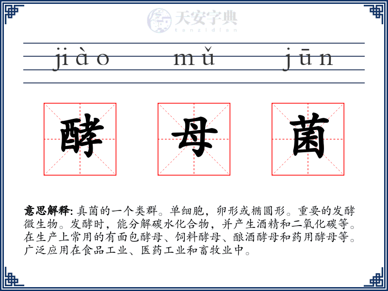 酵母菌