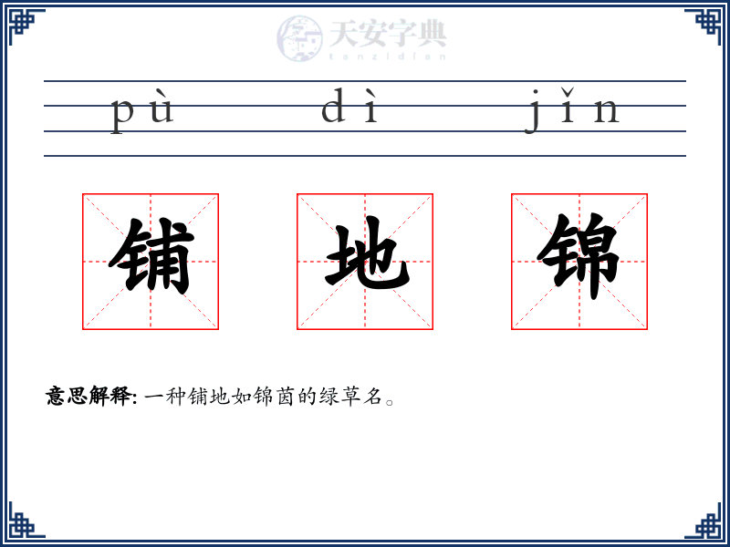 铺地锦