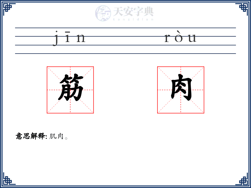 筋肉