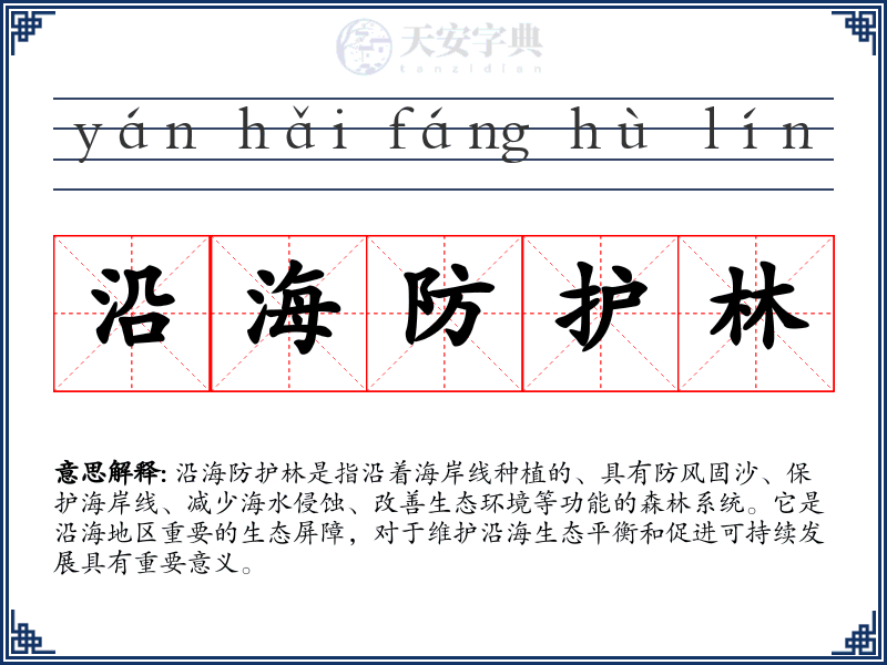 沿海防护林
