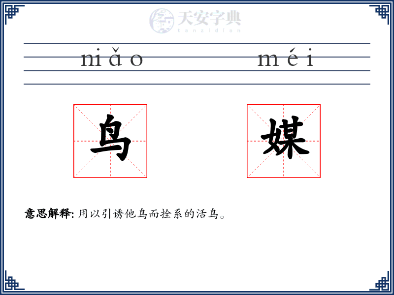 鸟媒