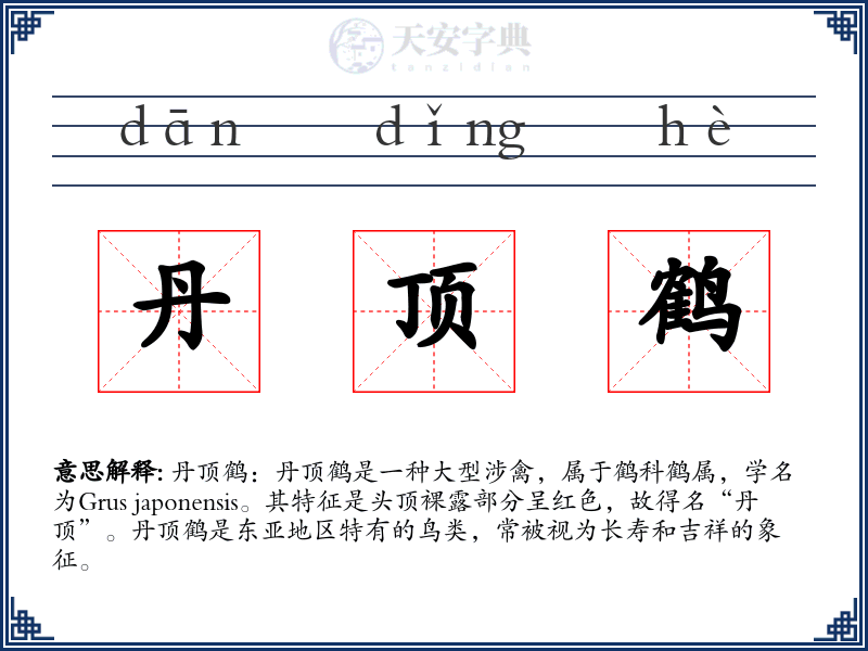 丹顶鹤