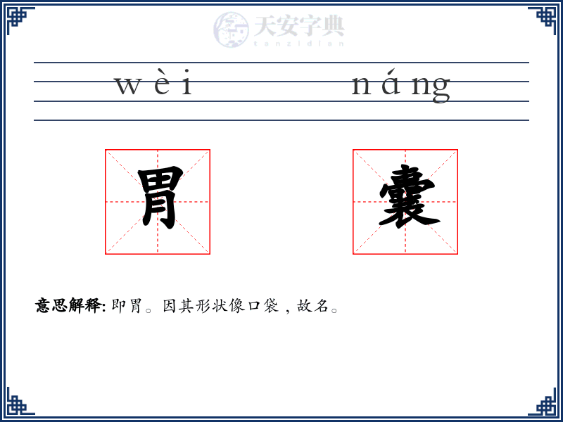 胃囊