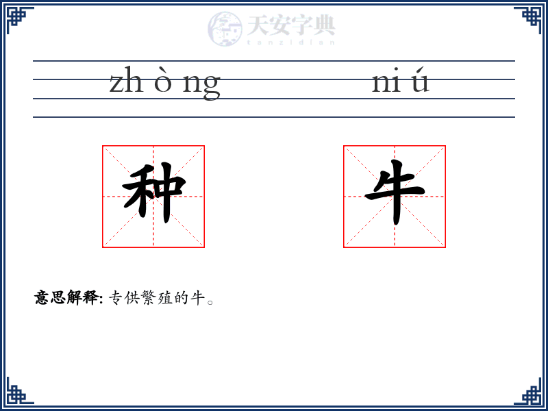 种牛