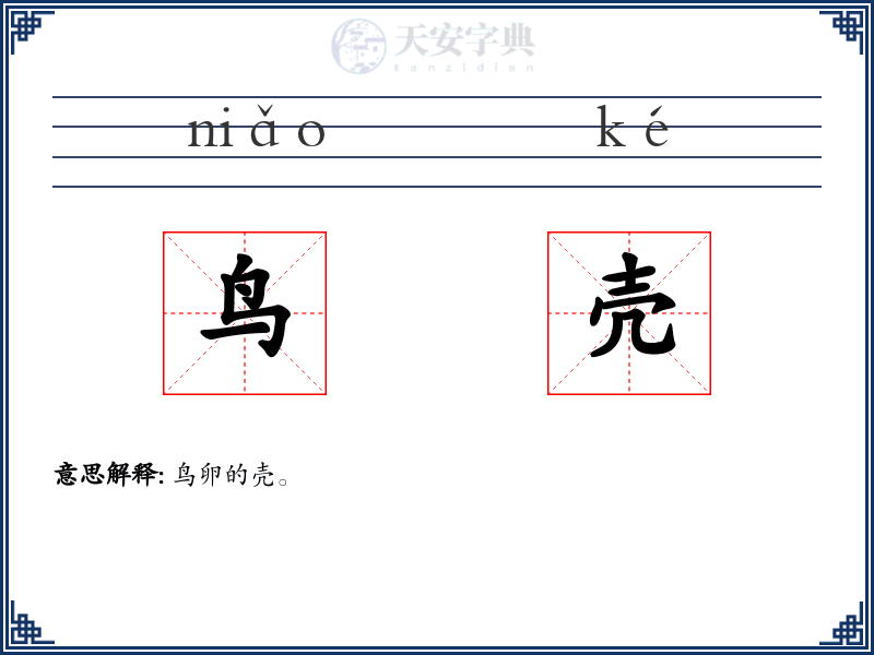 鸟壳