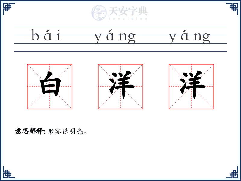 白洋洋
