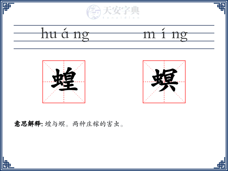 蝗螟