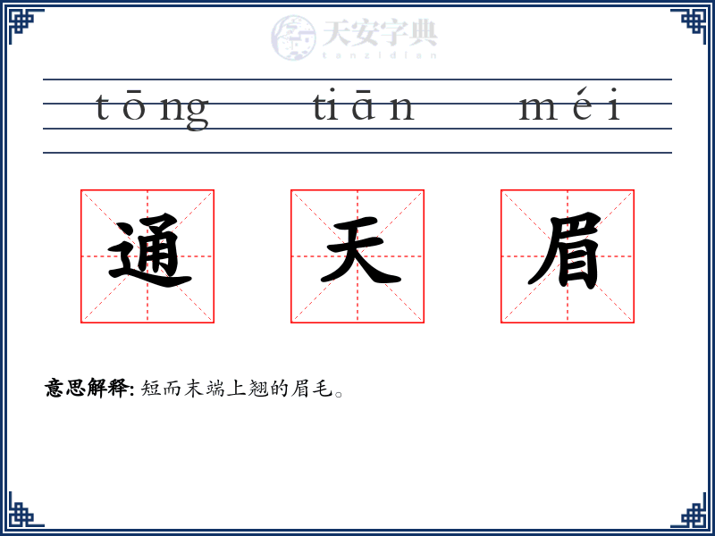 通天眉