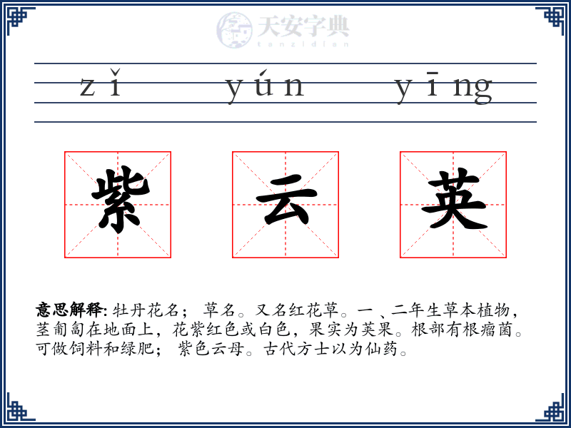 紫云英
