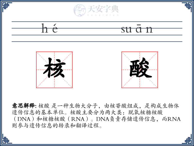 核酸