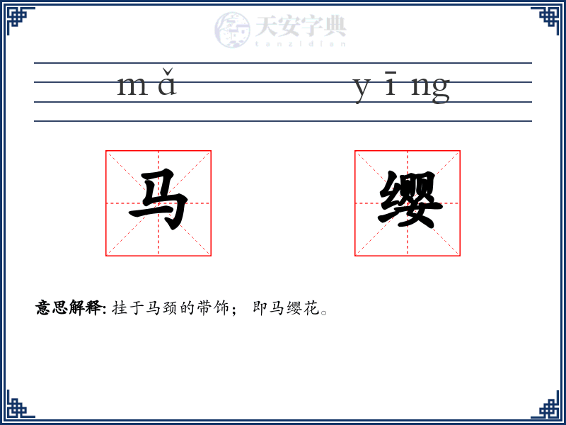 马缨