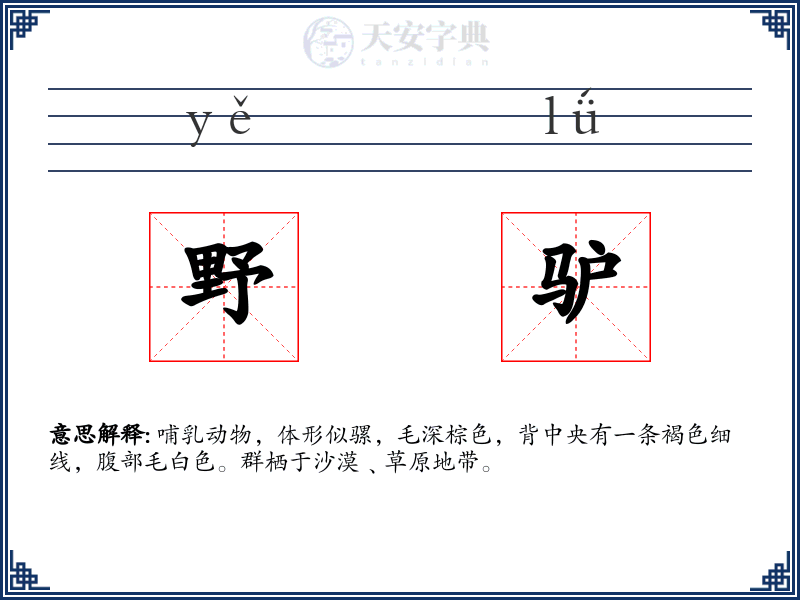 野驴